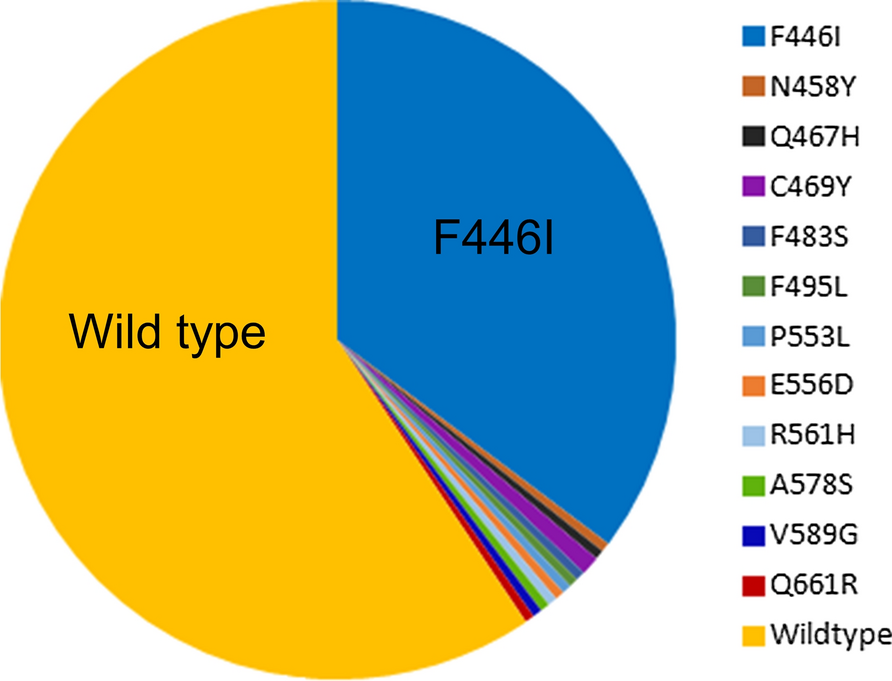 Fig. 2