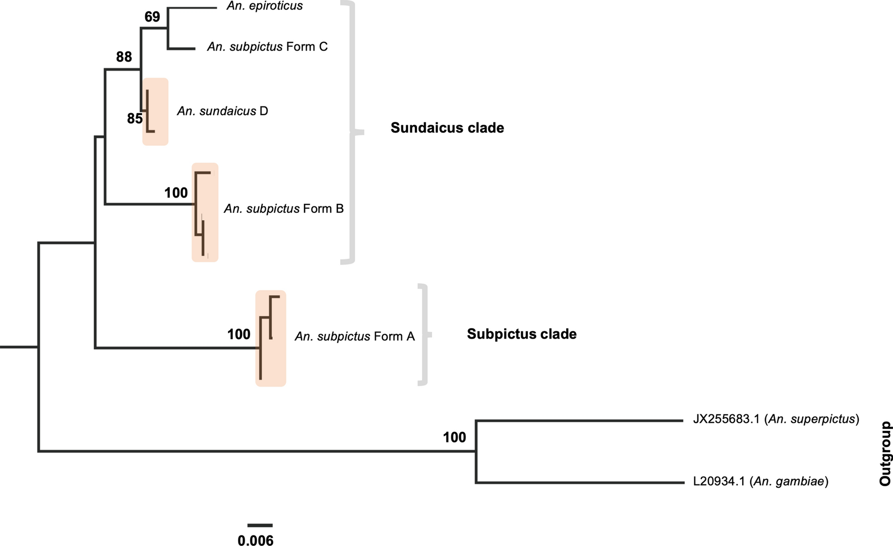 Fig. 6