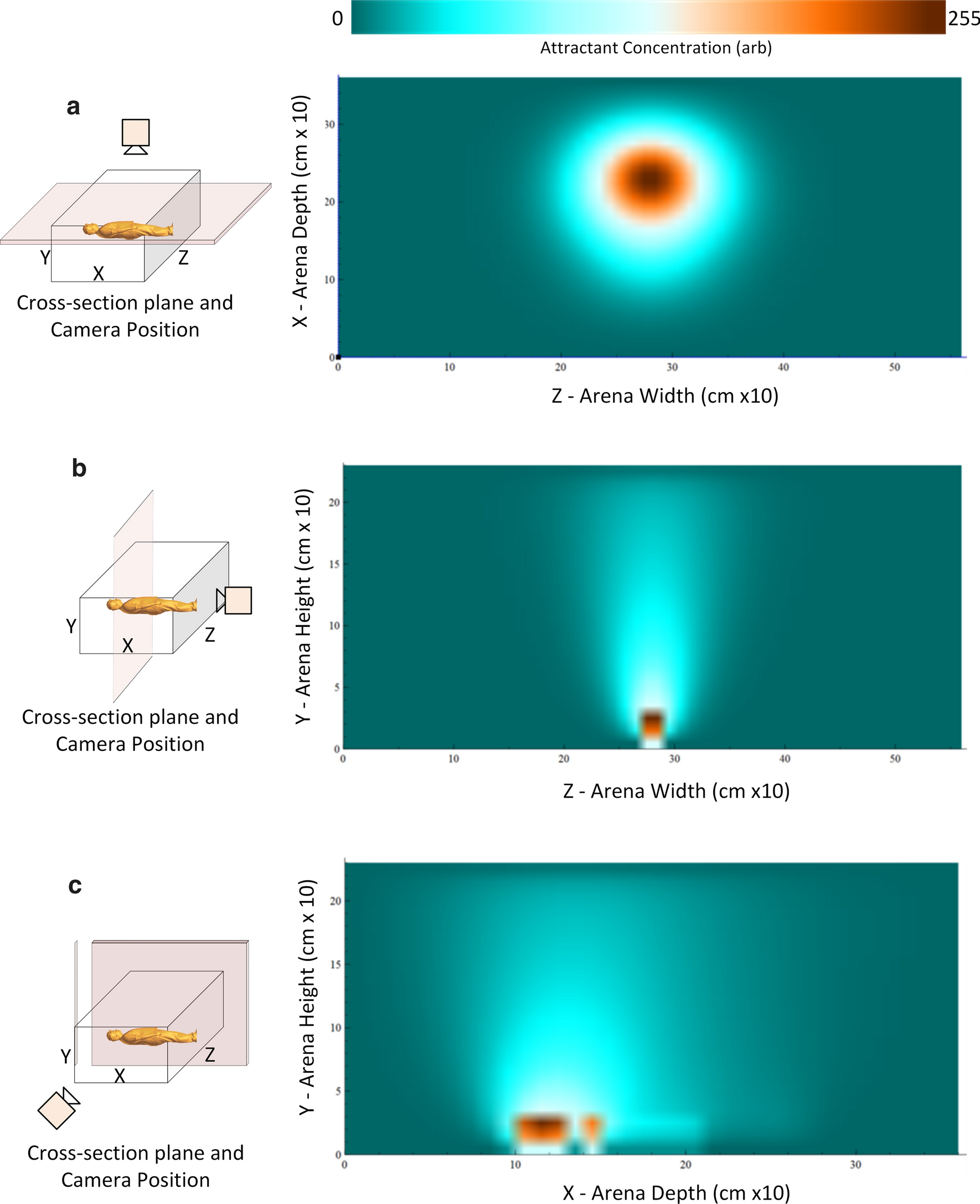 Fig. 2