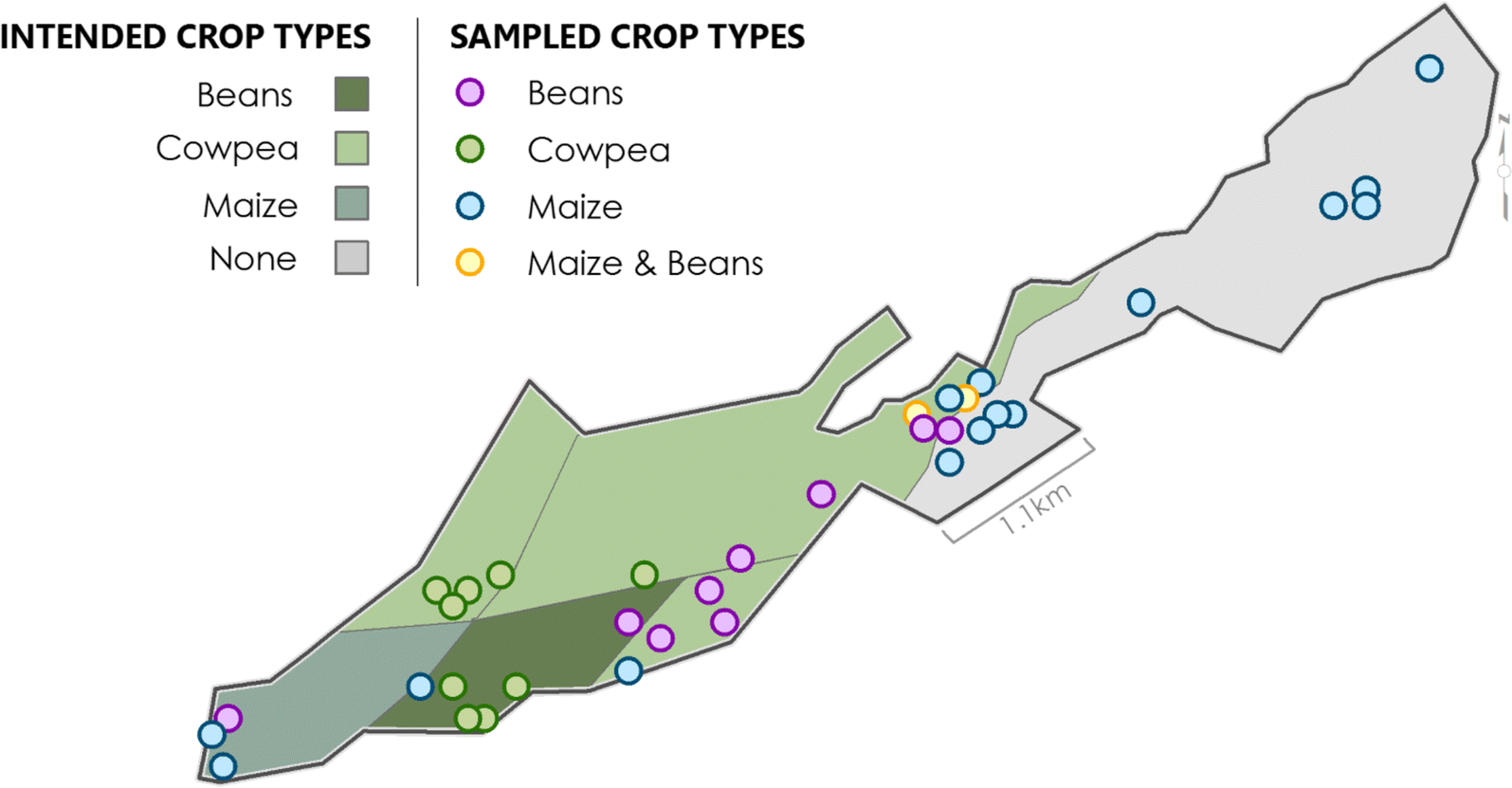 Fig. 6