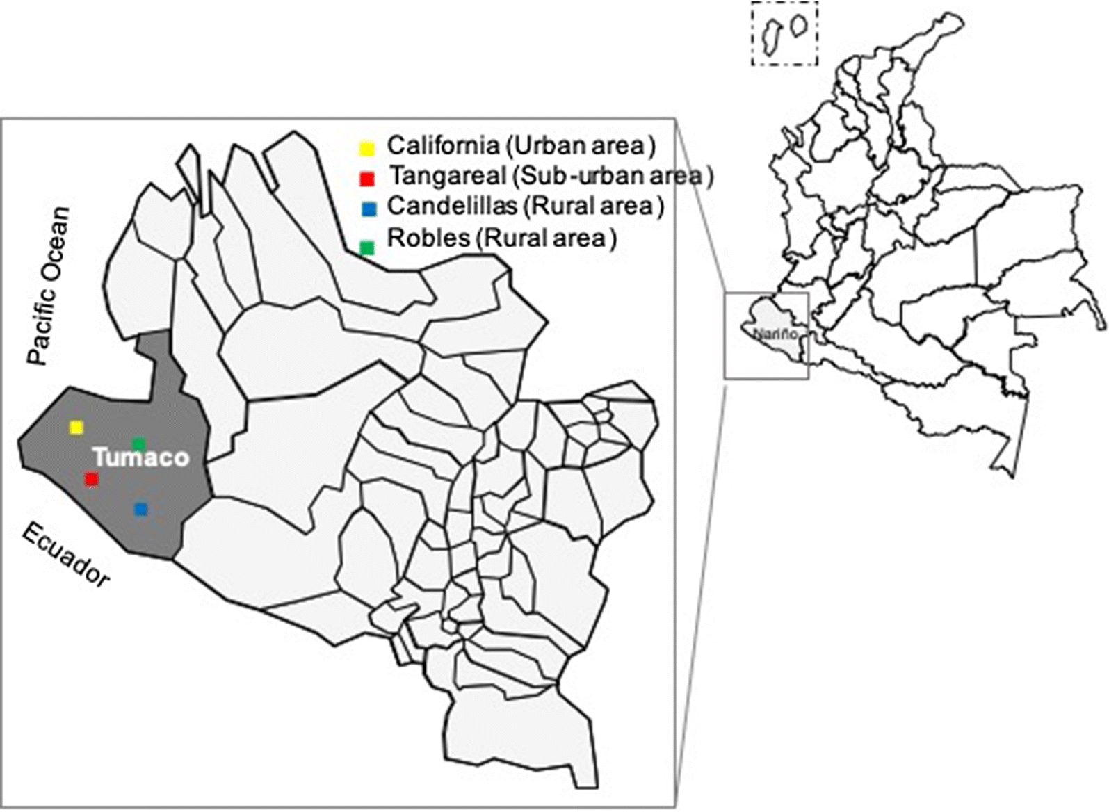 Fig. 1