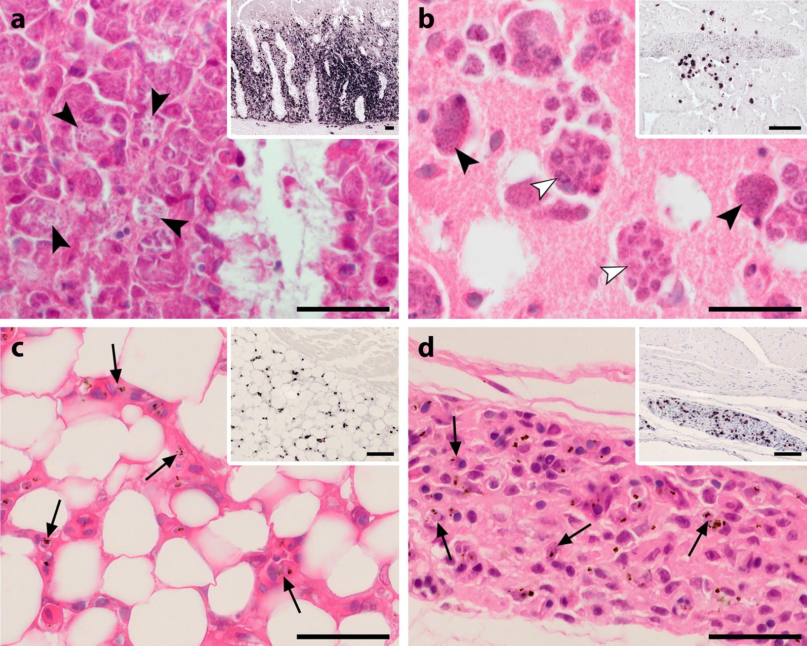 Fig. 2