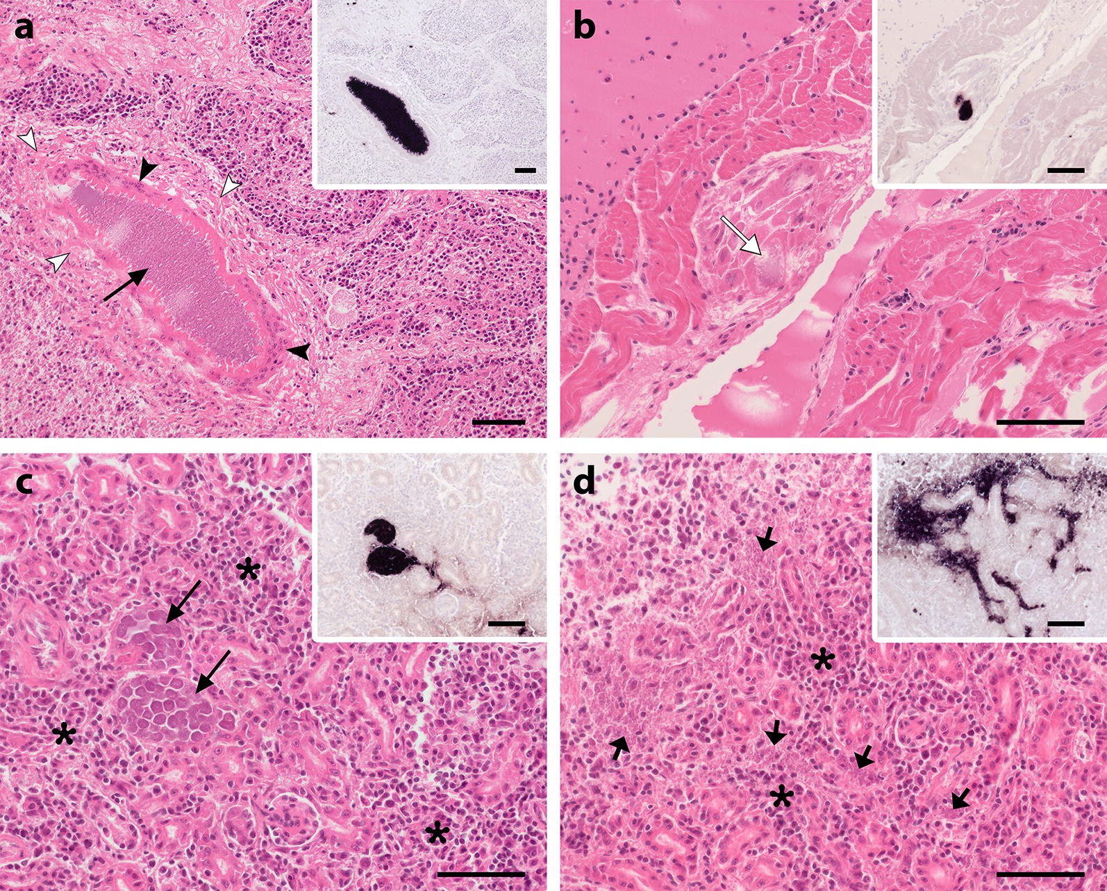 Fig. 4