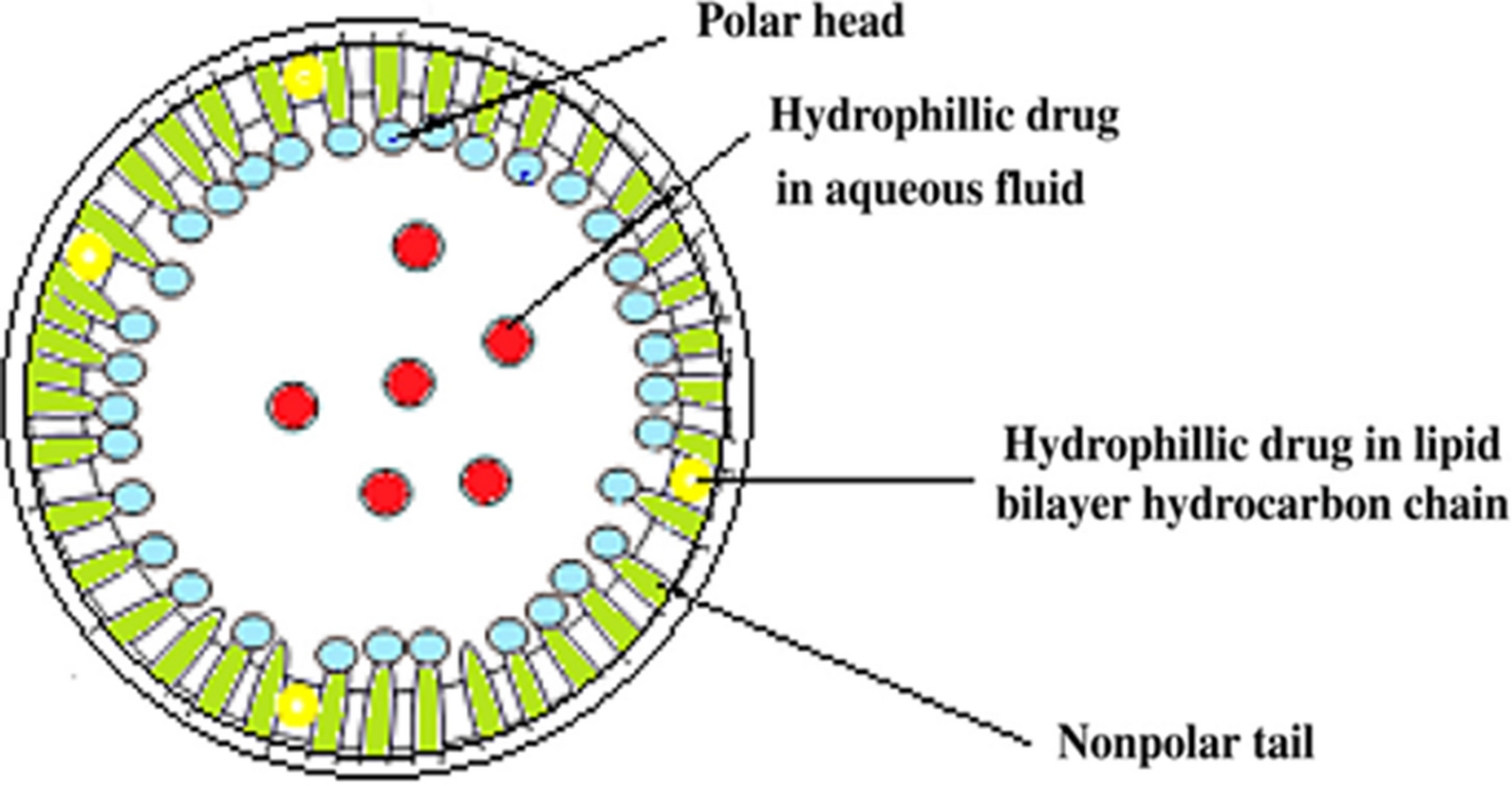 Fig. 11