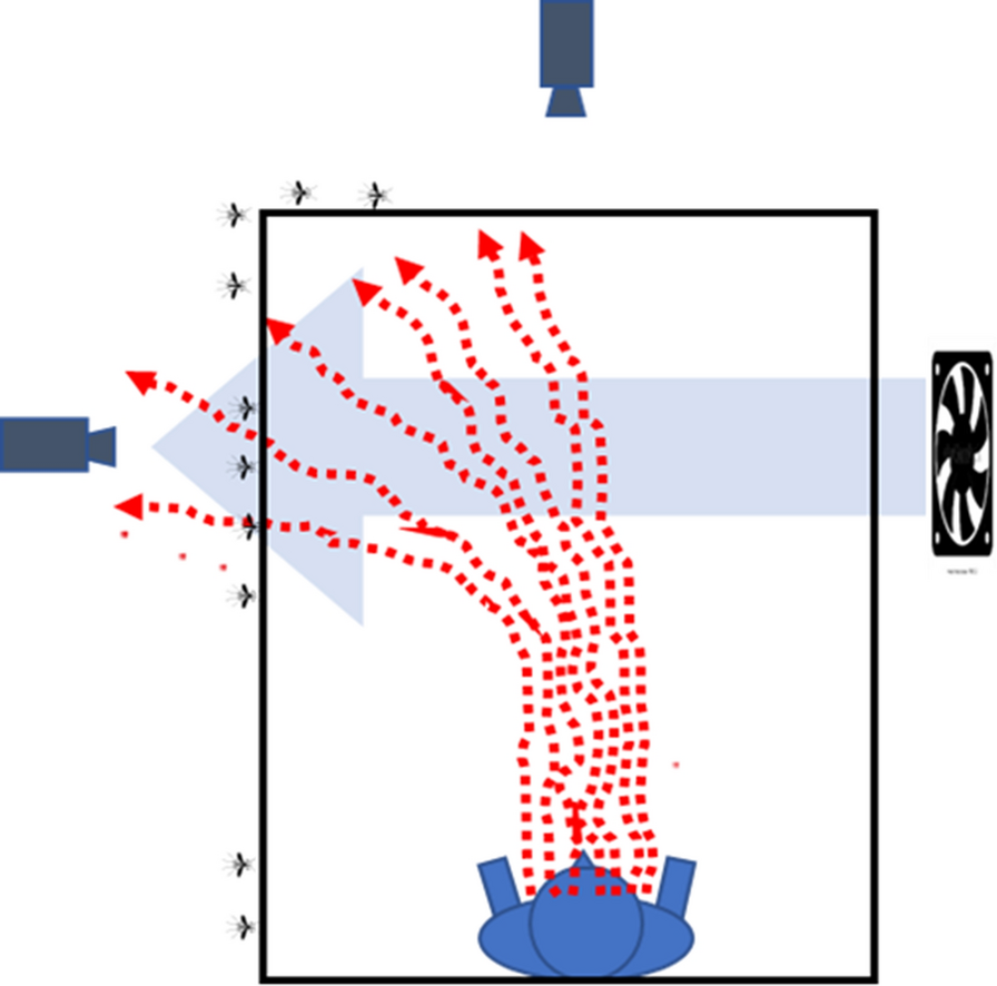 Fig. 10