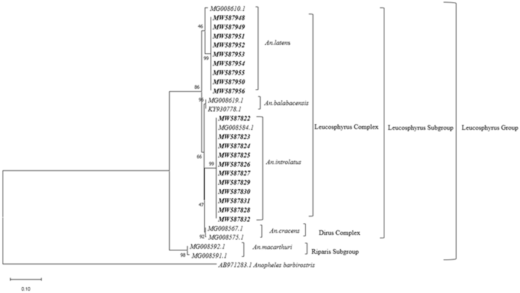 Fig. 4