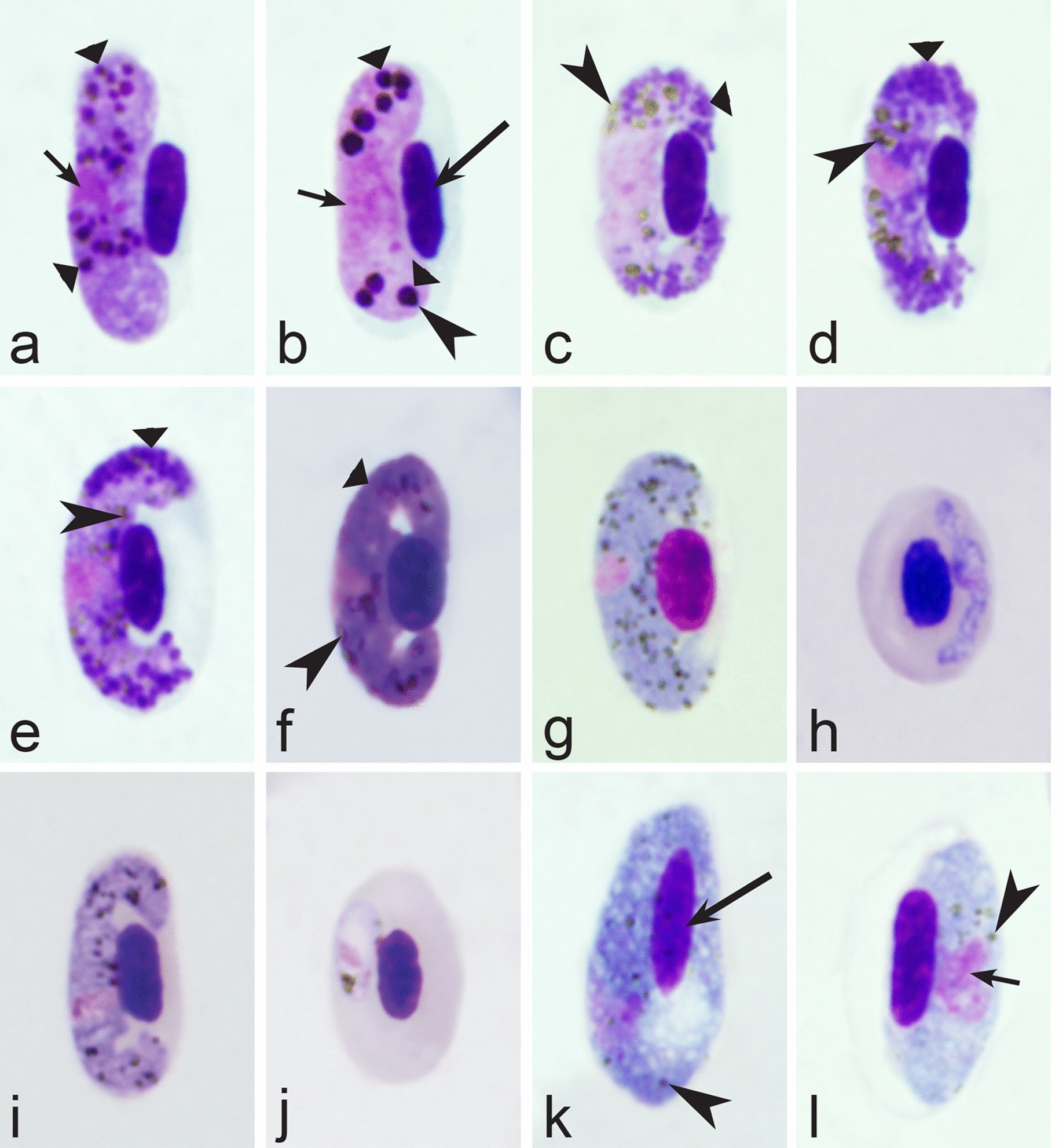 Fig. 13