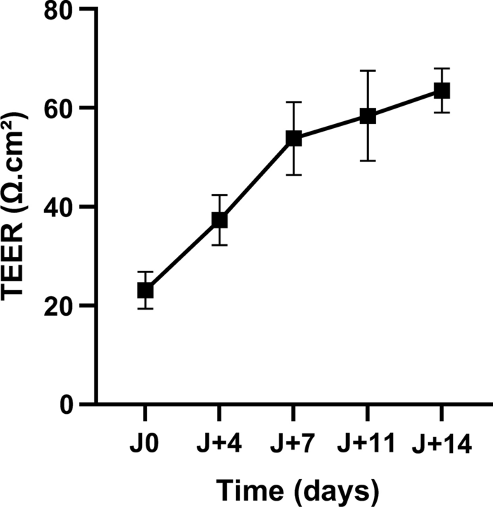 Fig. 4