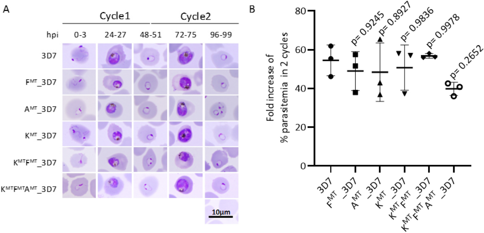 Fig. 2