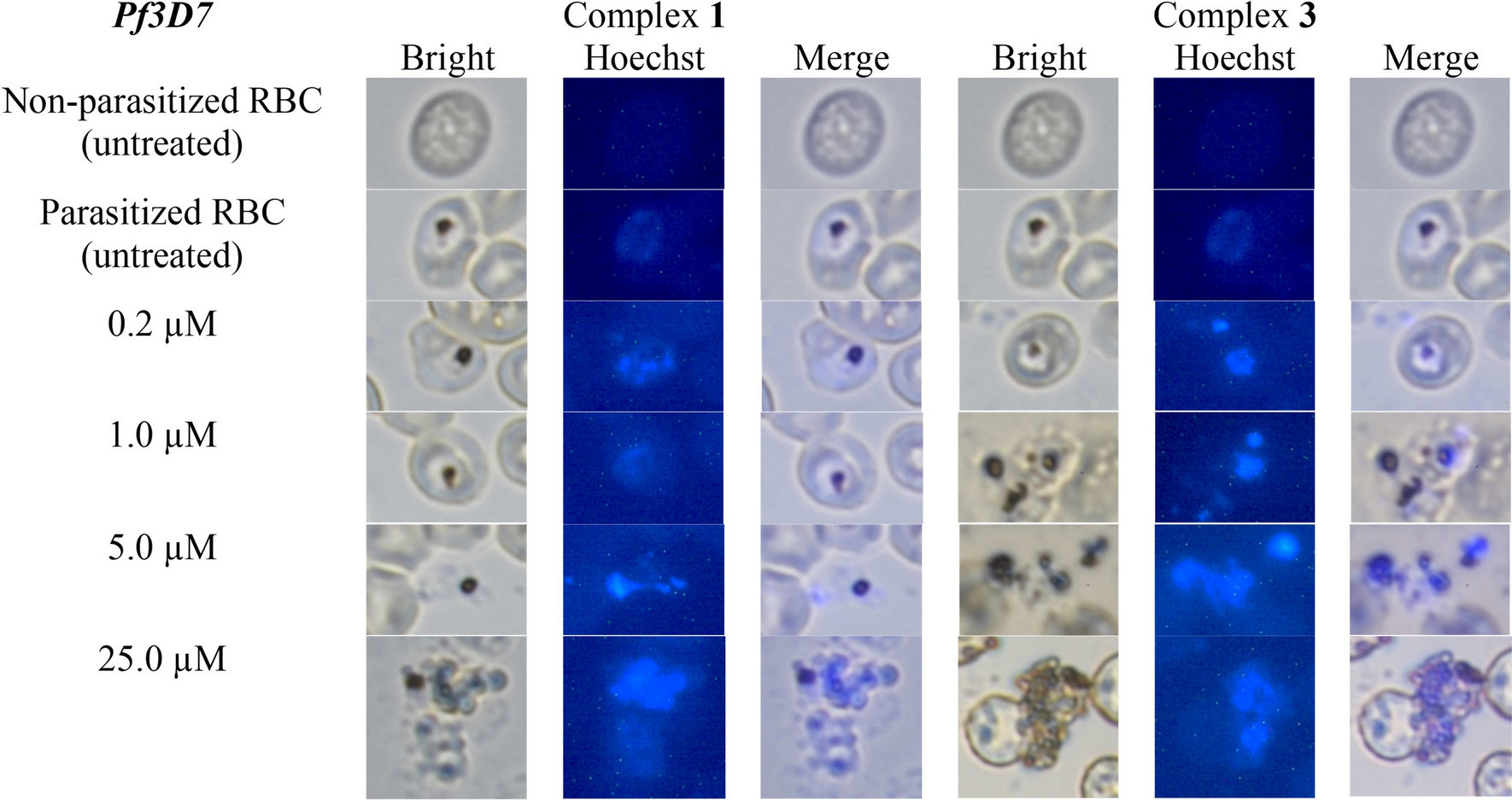 Fig. 9