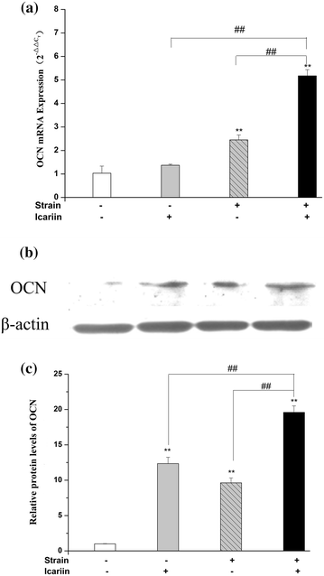 Figure 5