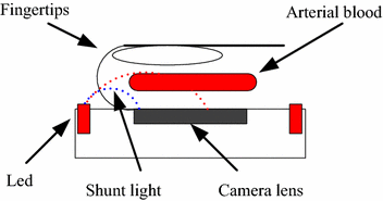 Figure 7