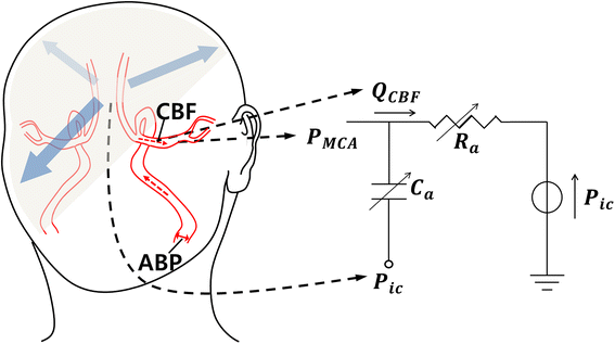 Figure 1