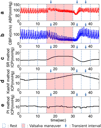 Figure 7