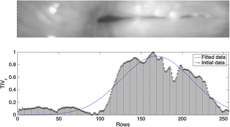 Fig. 4