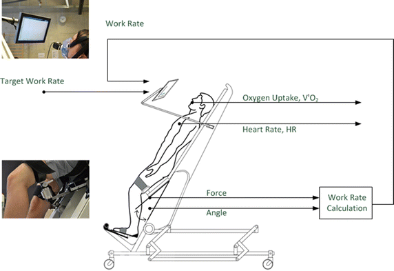 Fig. 2