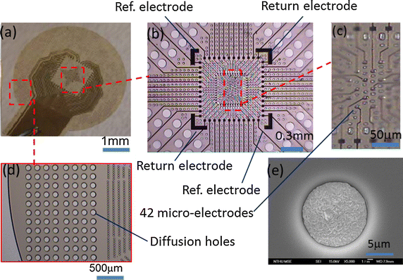 Fig. 7