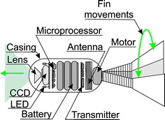 Fig. 12