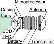 Fig. 3