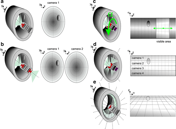 Fig. 6