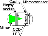 Fig. 9