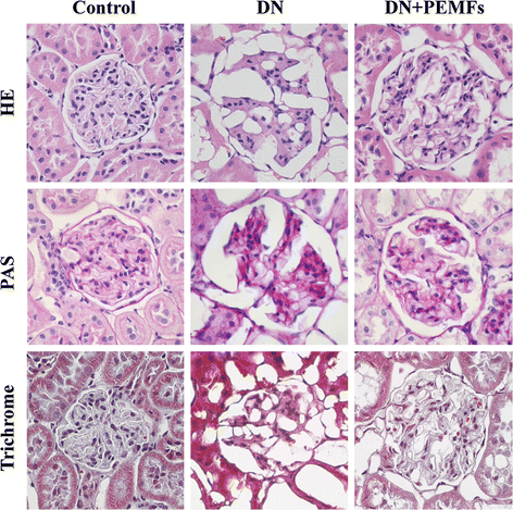 Fig. 4