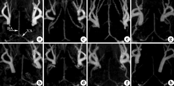 Fig. 7