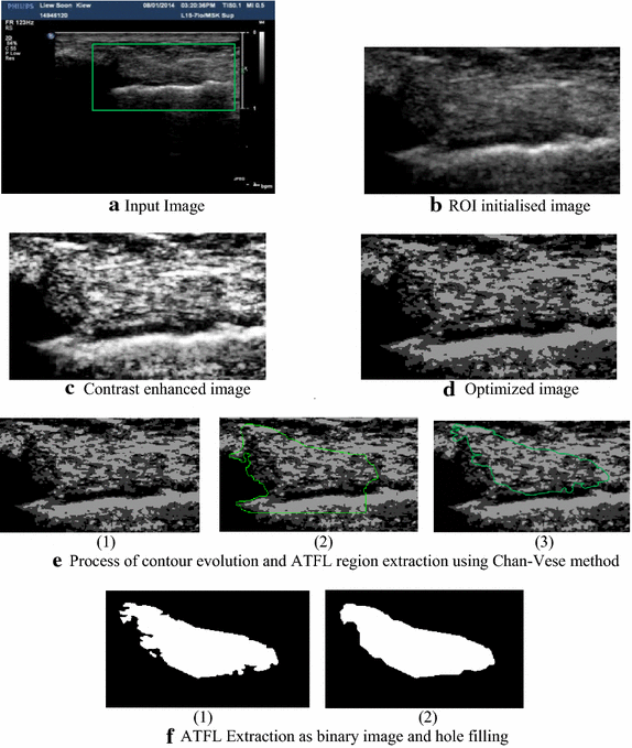 Fig. 3