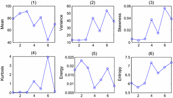 Fig. 6