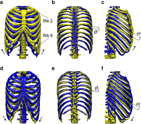 Fig. 5