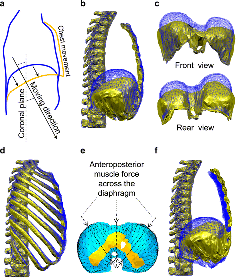 Fig. 7