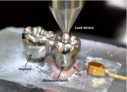 Fig. 2