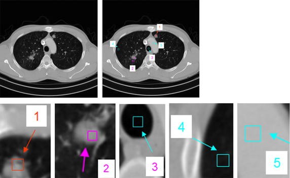 Fig. 7