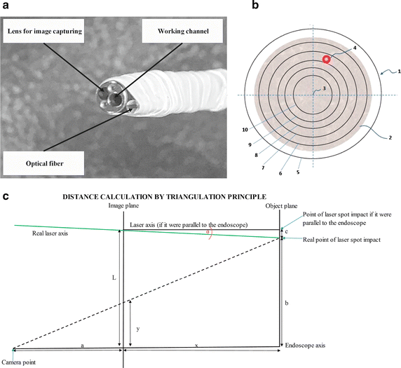 Fig. 4