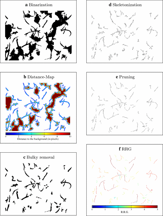 Fig. 4