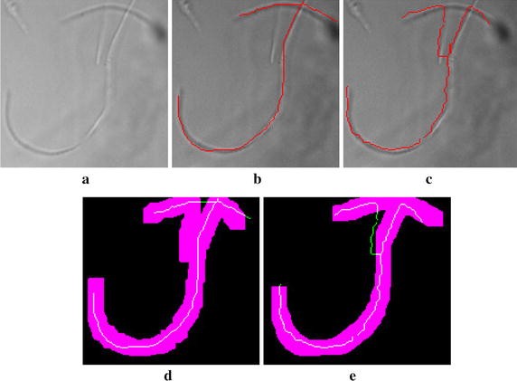 Fig. 7