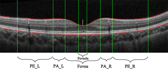 Fig. 5