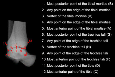 Fig. 4