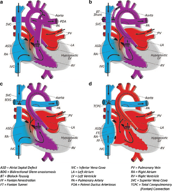 Fig. 10