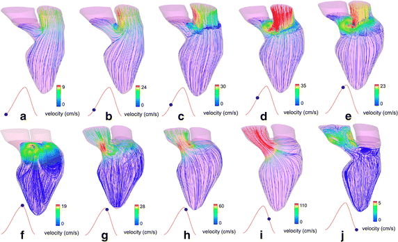 Fig. 6