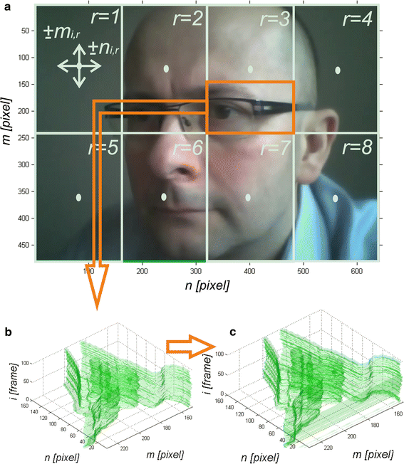 Fig. 1