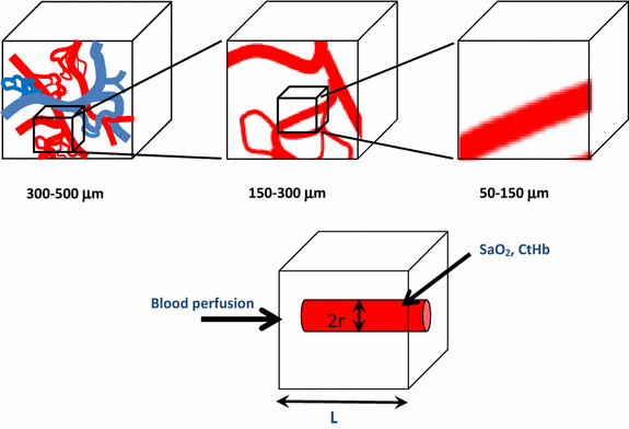 Fig. 1