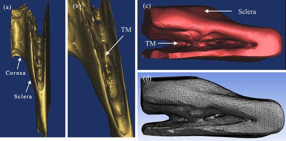 Fig. 7