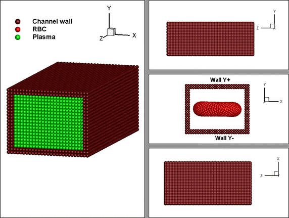 Fig. 3