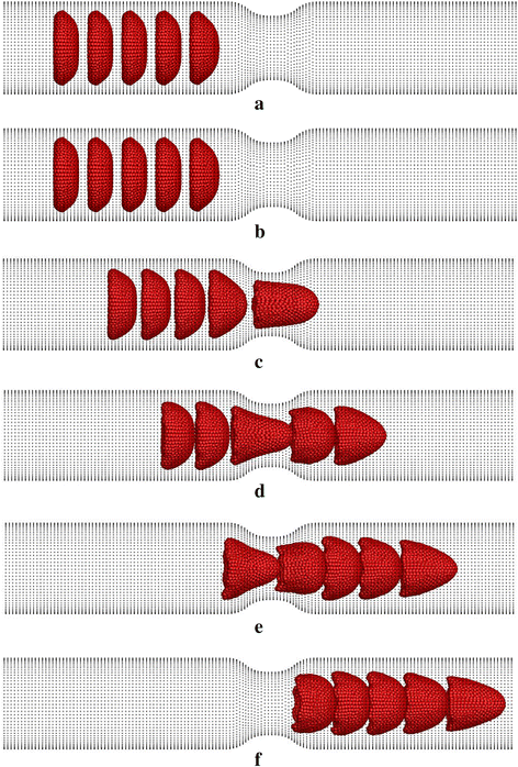 Fig. 7.