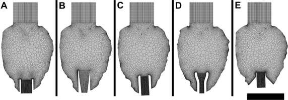 Fig. 4