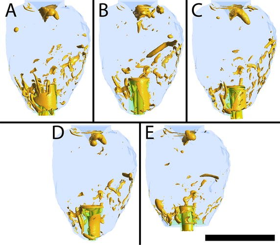 Fig. 6