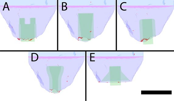 Fig. 7