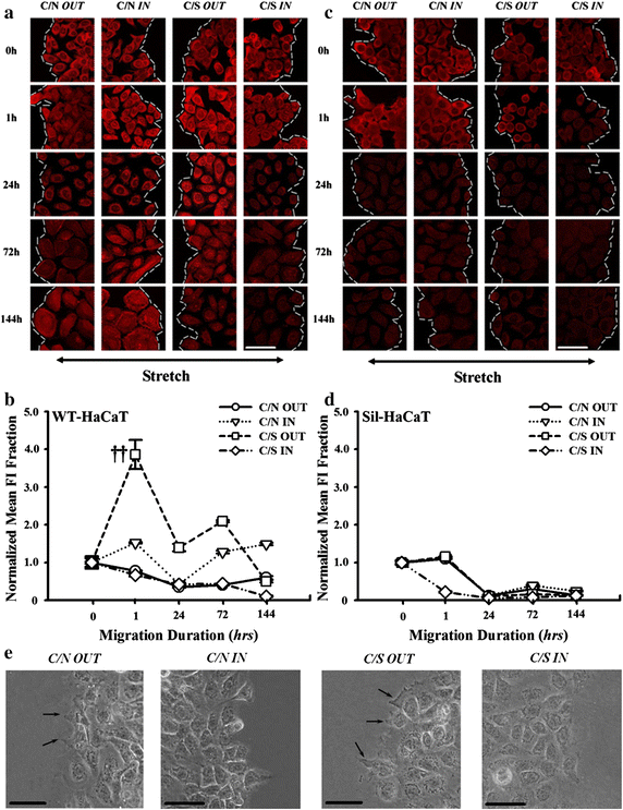 Fig. 4