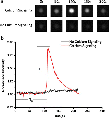 Fig. 2